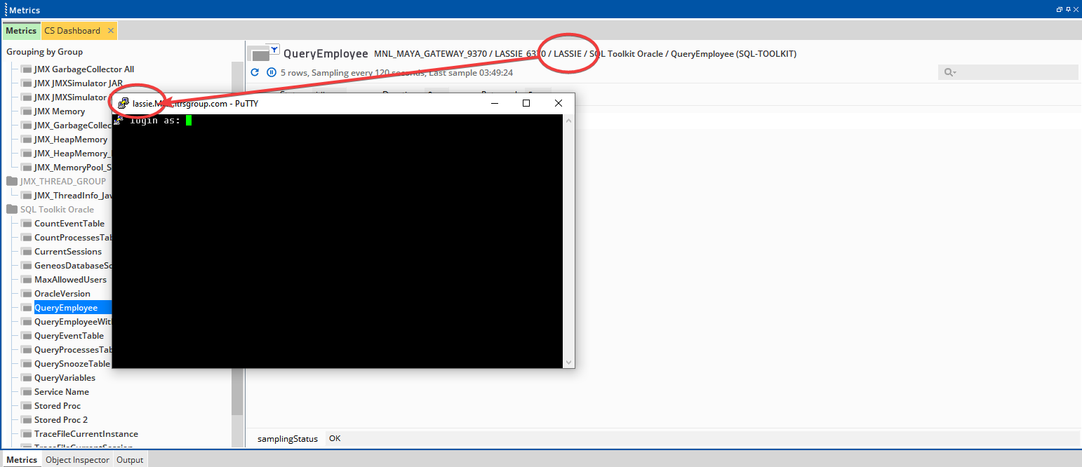 Geneos How to open PuTTY sessions directly from the Active Console